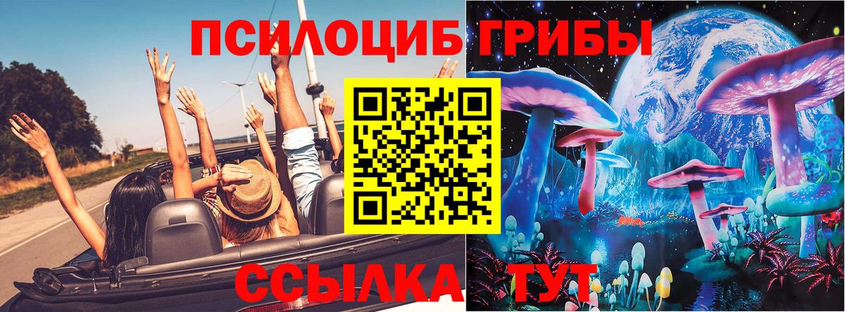 купить  цена  Вход с VPN  Дзержинск  Галлюциногенные грибы мухоморы 